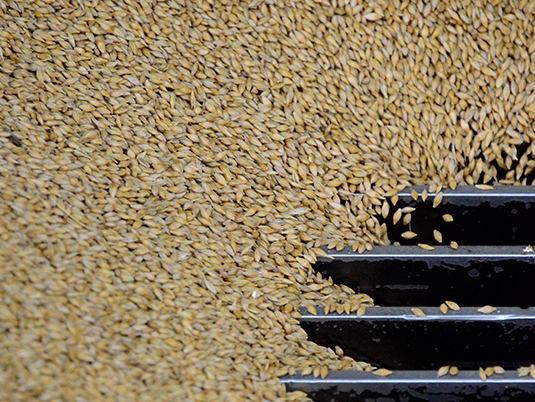 Pedigree seed cleaning